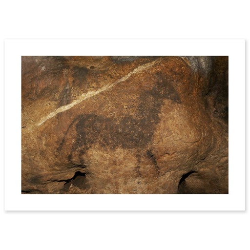 Grotte de Font-de-Gaume, bovidé noir (toiles sans cadre)