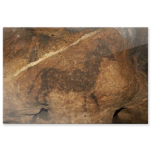Grotte de Font-de-Gaume, bovidé noir (panneaux aluminium)