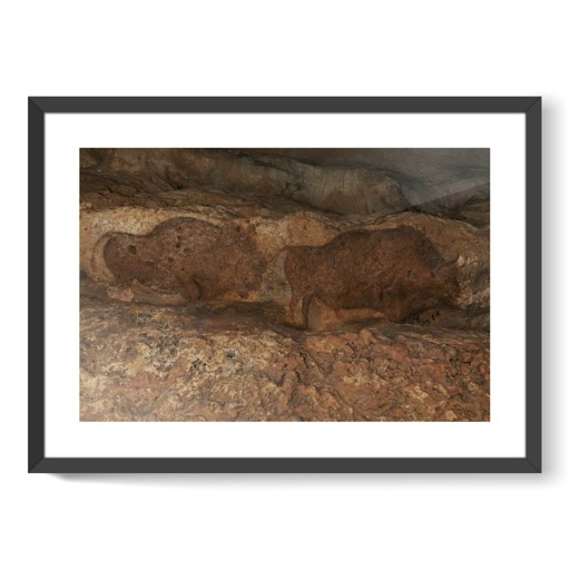 Grotte de Font-de-Gaume, bisons (affiches d'art encadrées)