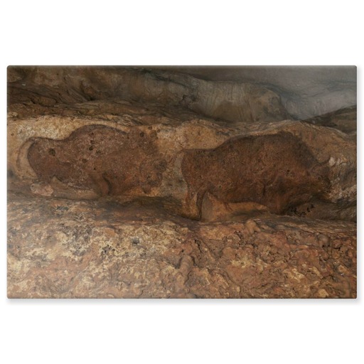 Grotte de Font-de-Gaume, bisons (panneaux aluminium)