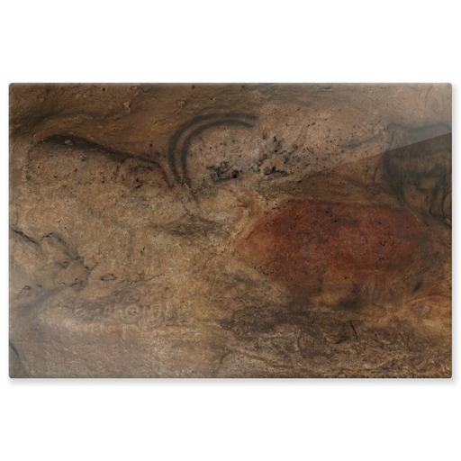 Grotte de Font-de-Gaume, rennes noir et rouge, dit aussi panneau des rennes affrontés (panneaux aluminium)