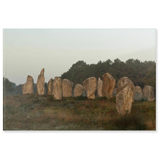 Alignements de Kermario, grands menhirs (panneaux acryliques)