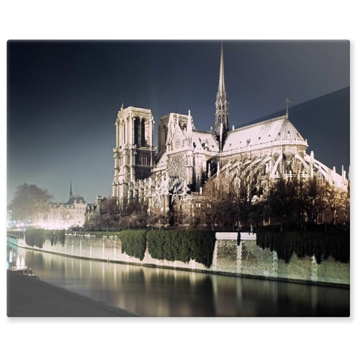 Cathédrale Notre-Dame de Paris, abside et façade sud (panneaux aluminium)