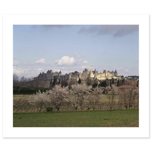 Cité de Carcassonne, front occidental (art prints)