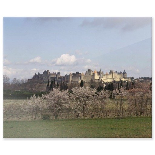 Cité de Carcassonne, front occidental (panneaux aluminium)