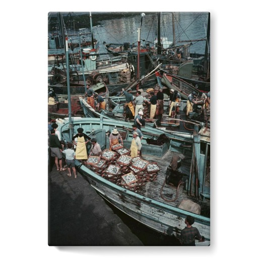Retour de la pêche à la sardine sur le port de Concarneau (stretched canvas)