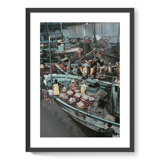 Retour de la pêche à la sardine sur le port de Concarneau (affiches d'art encadrées)