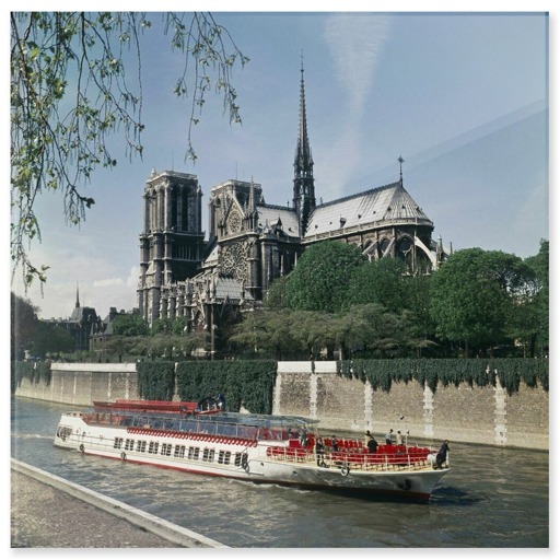 Cathédrale Notre-Dame de Paris et square Jean-XXIII vus depuis le quai de Montebello (panneaux acryliques)