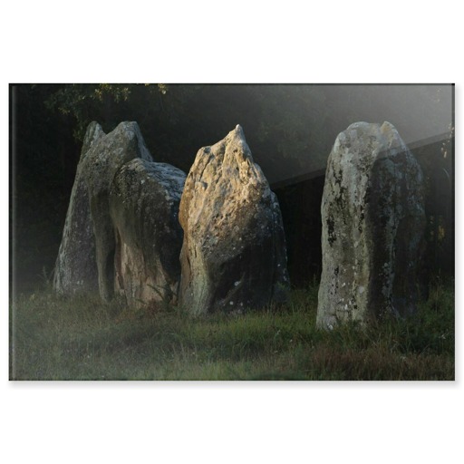Alignements de Kerlescan, quelques grands menhirs se détachant sur la végégation (acrylic panels)