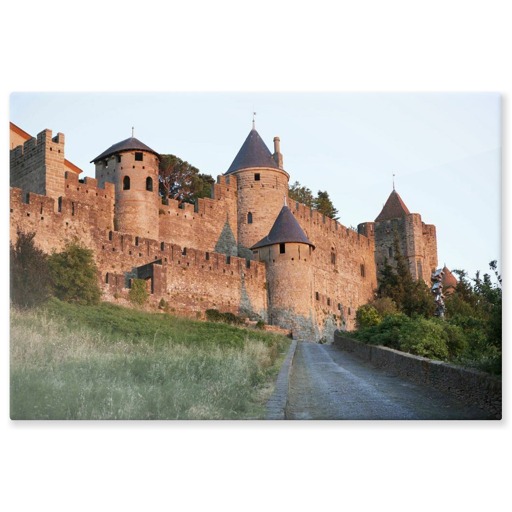 Cité de Carcassonne, front ouest (panneaux aluminium)