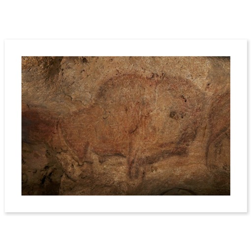Grotte de Font-de-Gaume, bison (toiles sans cadre)