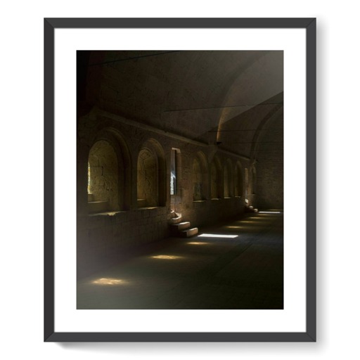 Abbaye du Thoronet, dortoir (framed art prints)