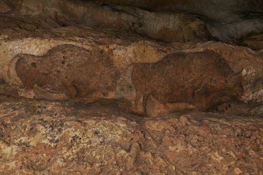 Grotte de Font-de-Gaume, bisons