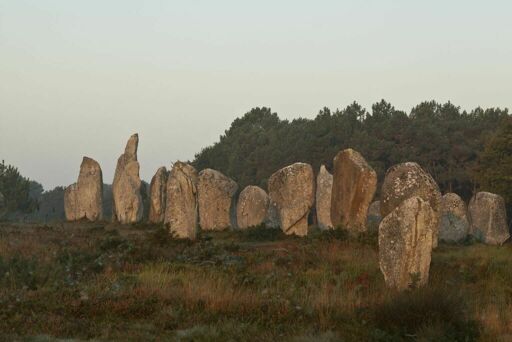 Alignements de Kermario, grands menhirs