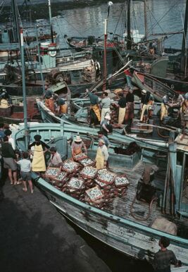 Retour de la pêche à la sardine sur le port de Concarneau