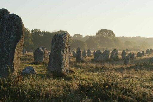 Alignements de Kerlescan, depuis l'ouest, dans la brume du matin