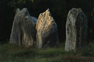 Alignements de Kerlescan, quelques grands menhirs se détachant sur la végégation