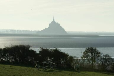 Silhouette du Mont-Saint-Michel vue du nord, près de la commune de Genêts