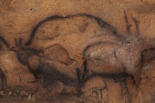 Grotte de Font-de-Gaume, bison