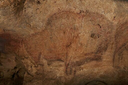 Grotte de Font-de-Gaume, bison