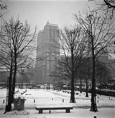 La cathédrale Notre-Dame de Paris vue du square René-Viviani, hiver 1945
