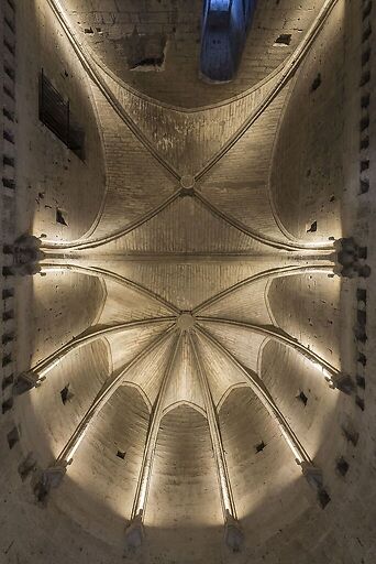 Fort Saint-André, château royal, voûte de la salle du viguier