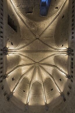 Fort Saint-André, château royal, voûte de la salle du viguier