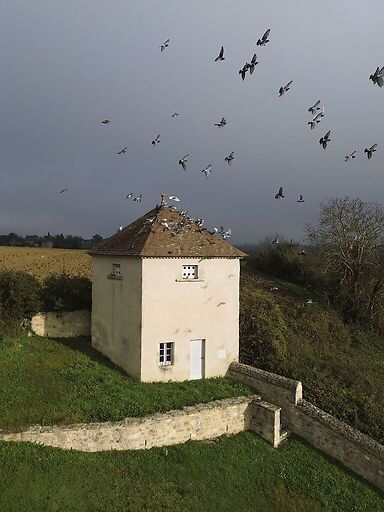 Château de Chareil-Cintrat, vue aérienne du pigeonnier