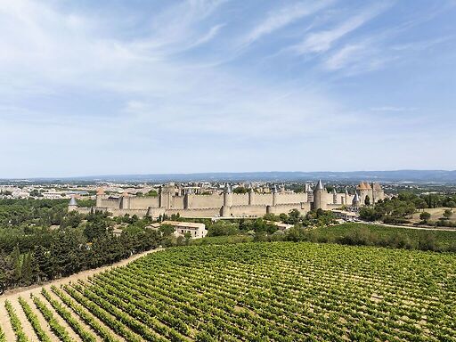 Château et remparts de la cité de Carcassonne, vue d'ensemble