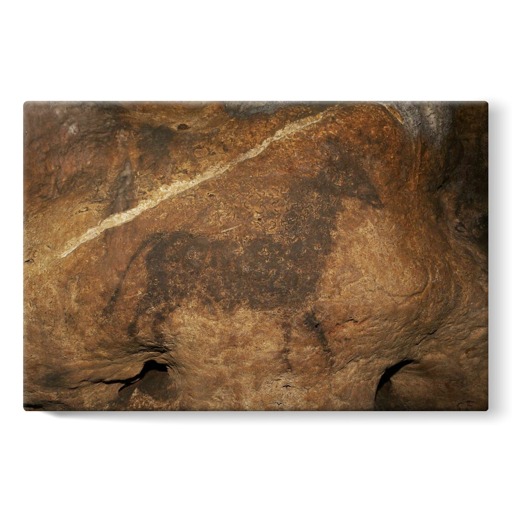 Grotte de Font-de-Gaume, bovidé noir (stretched canvas)