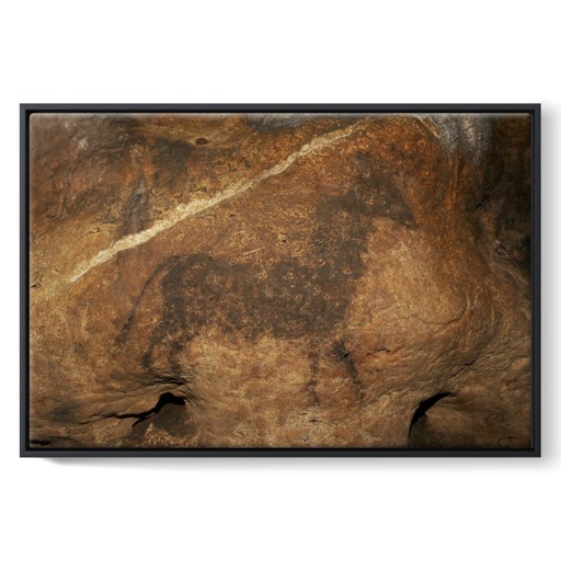 Grotte de Font-de-Gaume, bovidé noir (framed canvas)