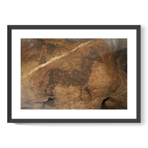 Grotte de Font-de-Gaume, bovidé noir (framed art prints)