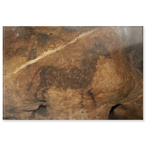 Grotte de Font-de-Gaume, bovidé noir (acrylic panels)