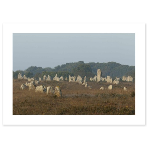 Alignements du Ménec avec un grand menhir se détachant des autres (canvas without frame)