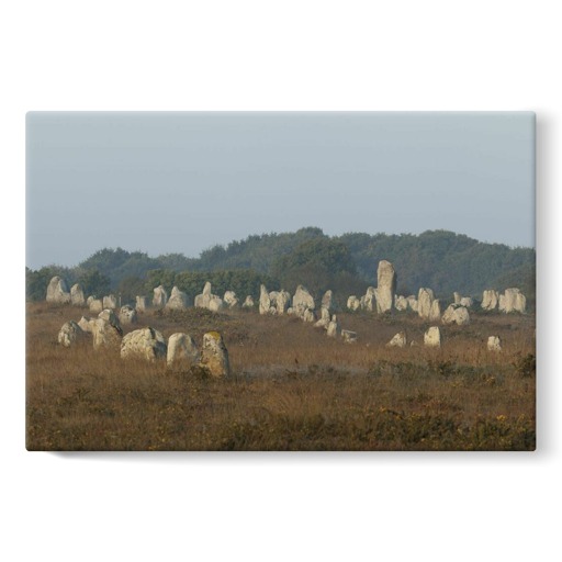 Alignements du Ménec avec un grand menhir se détachant des autres (toiles sur châssis)