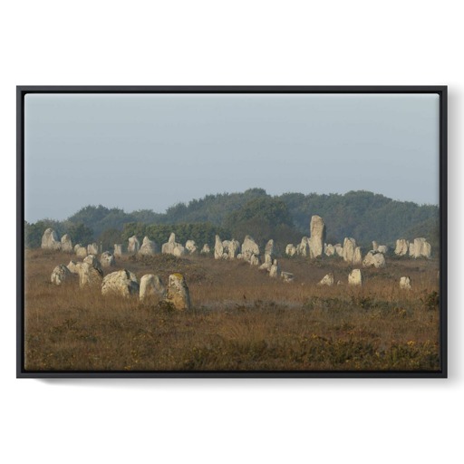 Alignements du Ménec avec un grand menhir se détachant des autres (framed canvas)