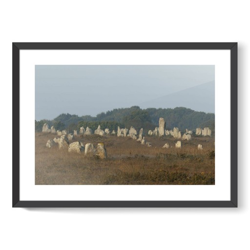 Alignements du Ménec avec un grand menhir se détachant des autres (framed art prints)