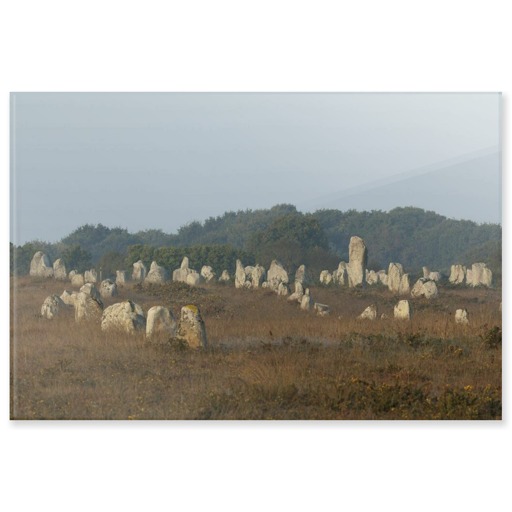 Alignements du Ménec avec un grand menhir se détachant des autres (acrylic panels)