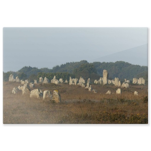 Alignements du Ménec avec un grand menhir se détachant des autres (panneaux aluminium)