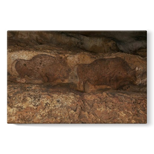 Grotte de Font-de-Gaume, bisons (stretched canvas)