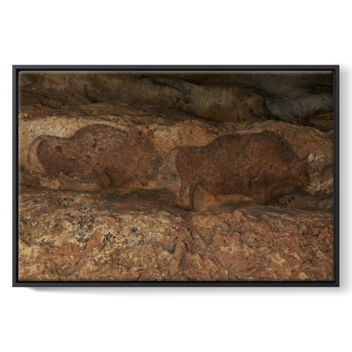 Grotte de Font-de-Gaume, bisons (framed canvas)