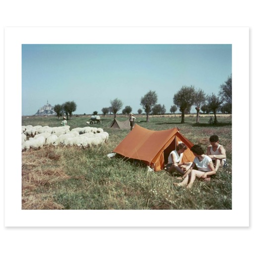 Camping dans un pré salé près du Mont-Saint-Michel (art prints)