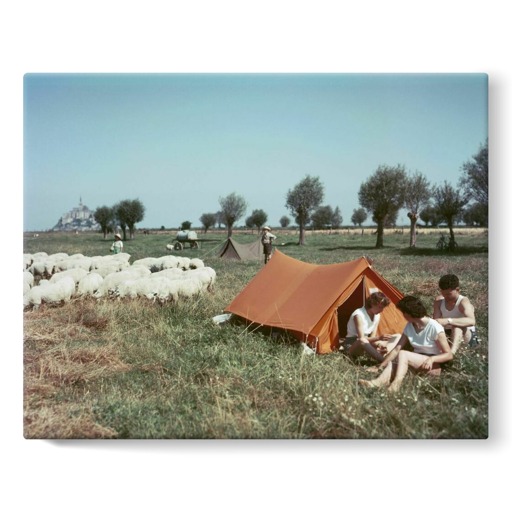 Camping dans un pré salé près du Mont-Saint-Michel (toiles sur châssis)