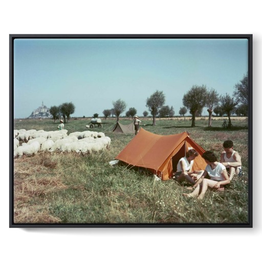 Camping dans un pré salé près du Mont-Saint-Michel (framed canvas)