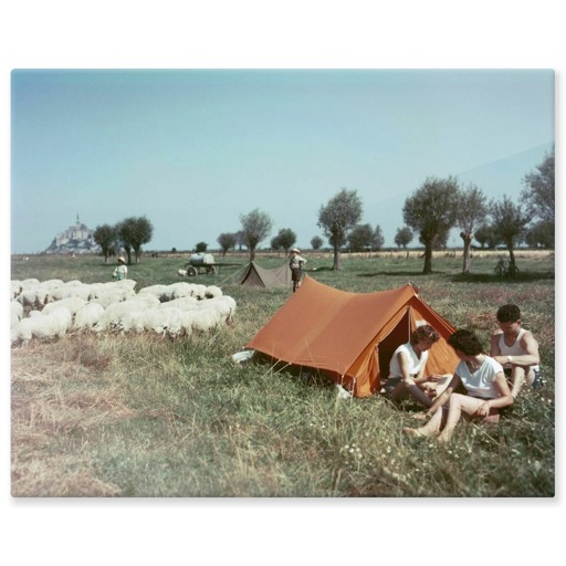 Camping dans un pré salé près du Mont-Saint-Michel (panneaux aluminium)