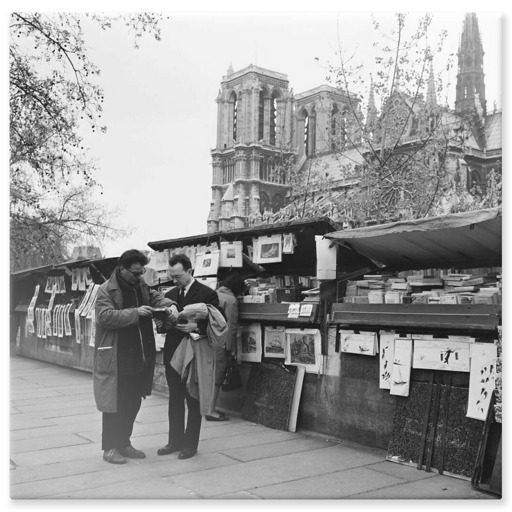 Bouquiniste quai de la Tournelle à Paris (aluminium panels)