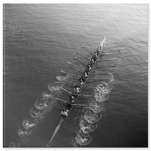 Compétition à l'aviron, au pont de Levallois, à Levallois-Perret (acrylic panels)