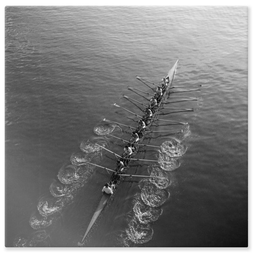 Compétition à l'aviron, au pont de Levallois, à Levallois-Perret (aluminium panels)