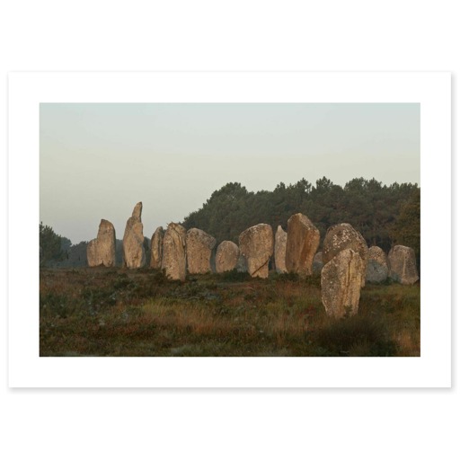 Alignements de Kermario, grands menhirs (canvas without frame)