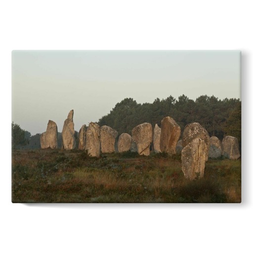 Alignements de Kermario, grands menhirs (stretched canvas)